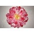 Штучна ряба квітка №138