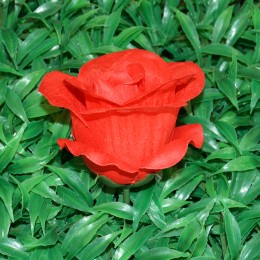 Троянда "Фієста" №152