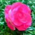 Штучна троянда "Леді" №57